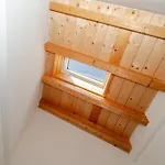 Il Vigneto
