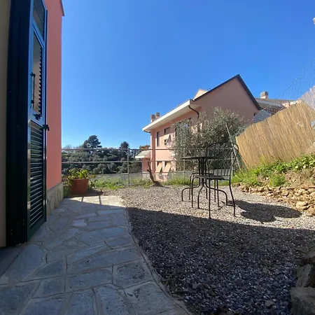 Il Vigneto *
