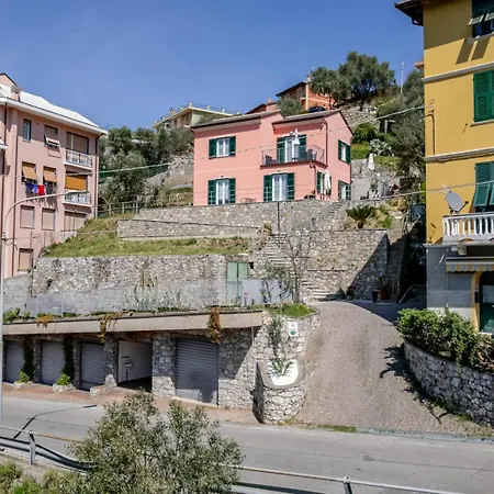Il Vigneto *